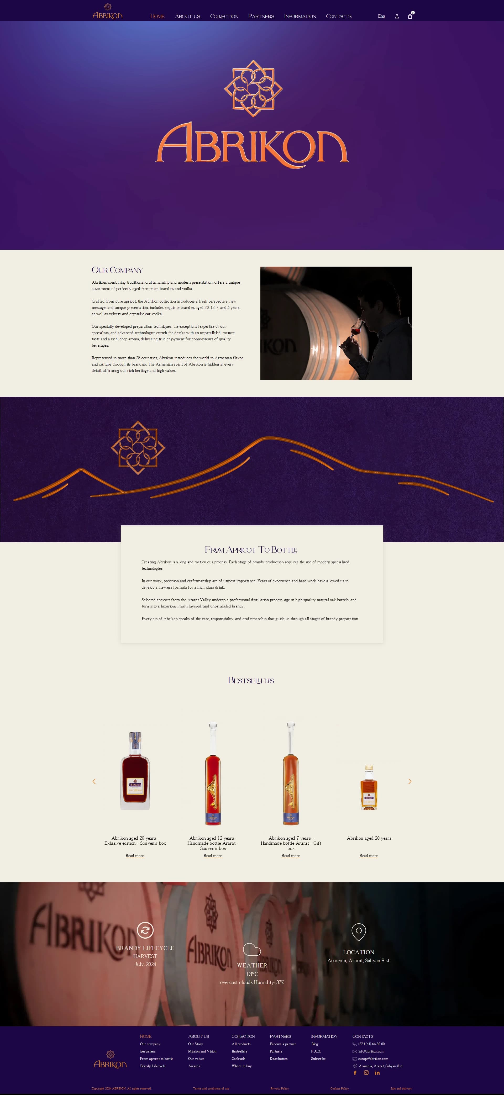 Abrikon - Website Design and Development