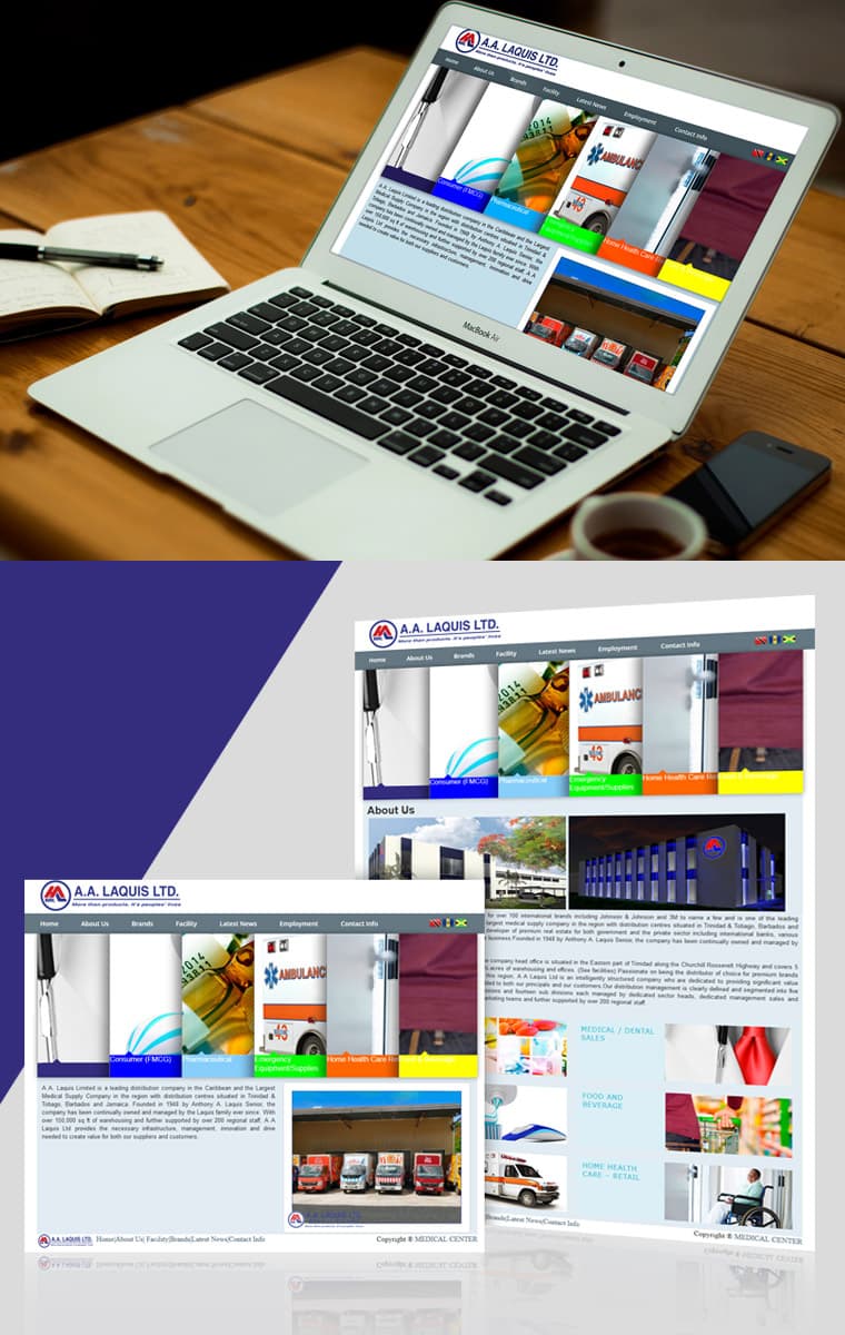 “A.A.LAQUIS” DISTRIBUTION AND MEDICAL SUPPLY COMPANY - Website Design and Development